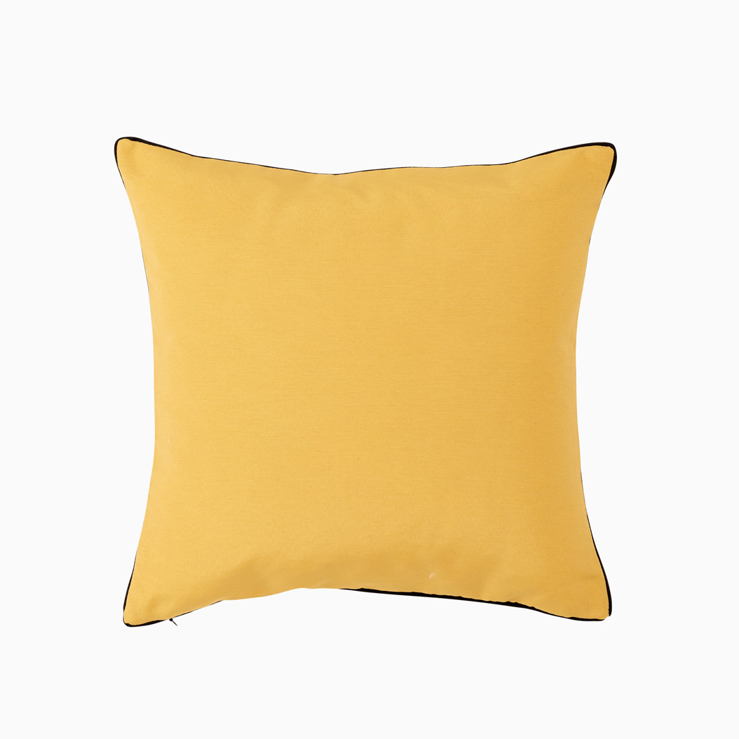 RISCA ARANCIO